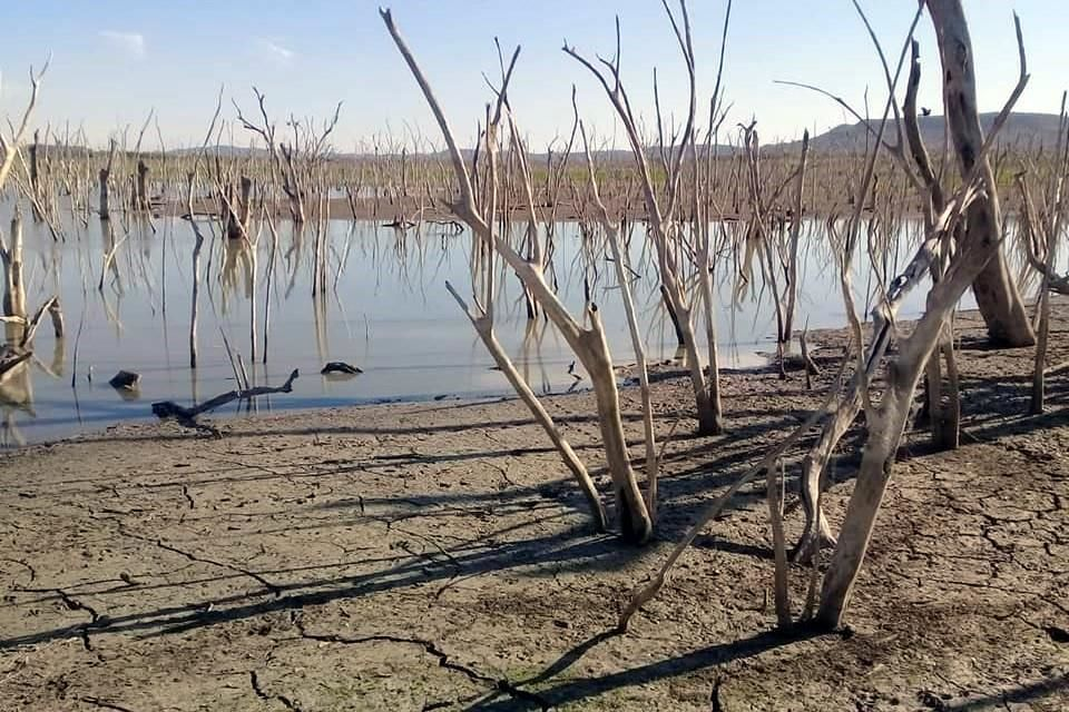 Municipios En Rojo Por La Cr Tica Sequ A En Tamaulipas Mex Noticias